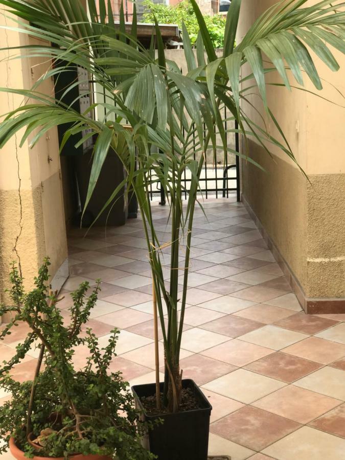 Garden Carras Διαμέρισμα Νίκαια Εξωτερικό φωτογραφία